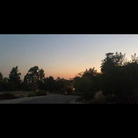 Meet your Posher, Holly - Picture 1 of 1